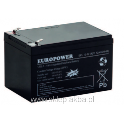 EUROPOWER EPL 12-12 (12V 12Ah)